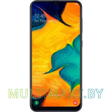 Смартфон Samsung Galaxy A30 3GB/32GB (черный)